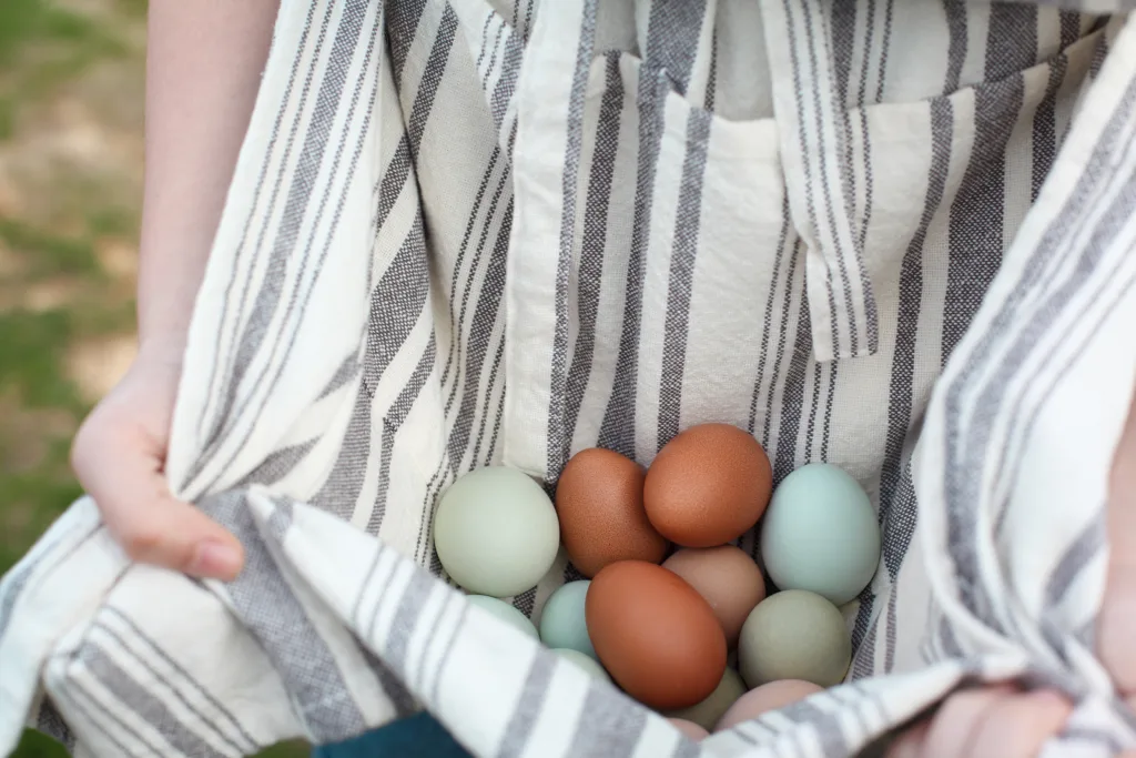 Close up of colorful eggs in apron 